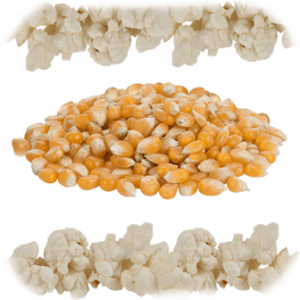 Popcorn Kernels Butterfly