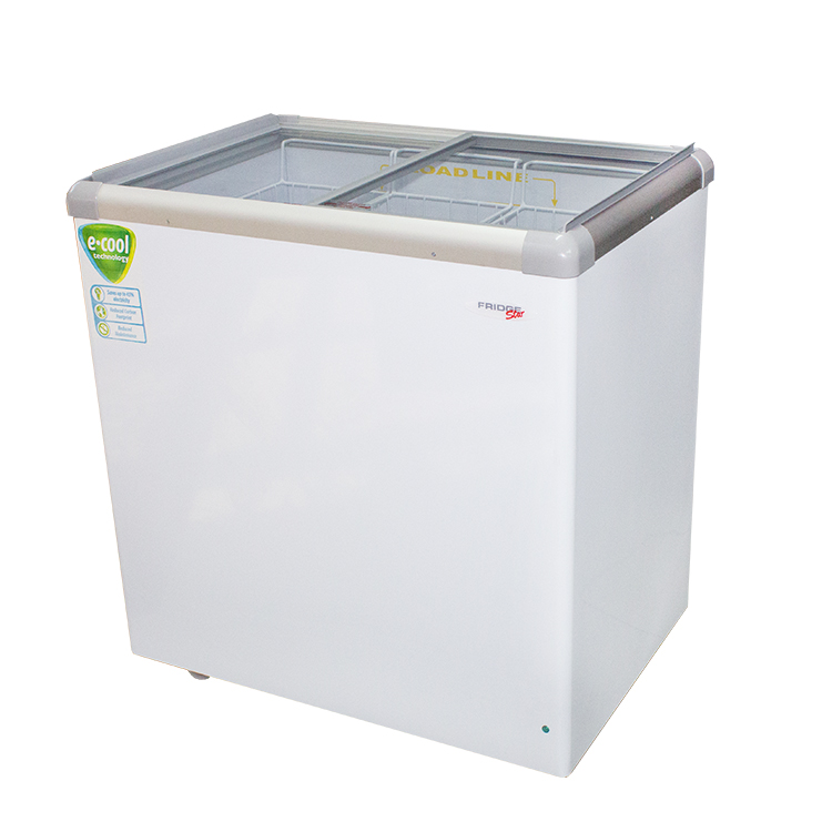 Chest Freezer CF310VL