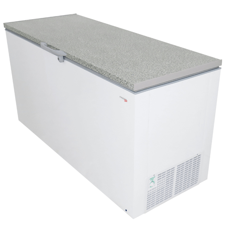 Chest Freezer CF310 Catering Equipment